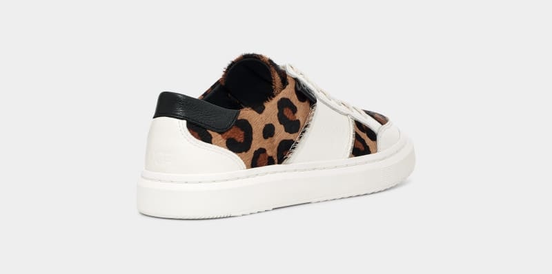 Beige Ugg Alameda Spotty Lace Women's Sneakers | South Africa-9763280