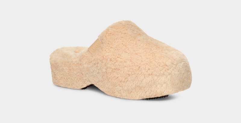 Beige Ugg Fuzz Sugar Clog Women's Clogs | South Africa-1604389