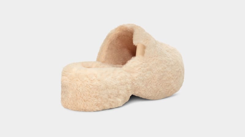 Beige Ugg Fuzz Sugar Clog Women's Clogs | South Africa-1604389