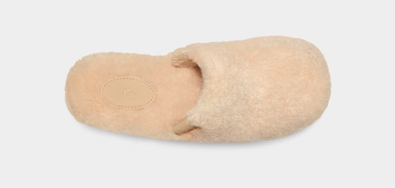 Beige Ugg Fuzz Sugar Clog Women's Clogs | South Africa-1604389