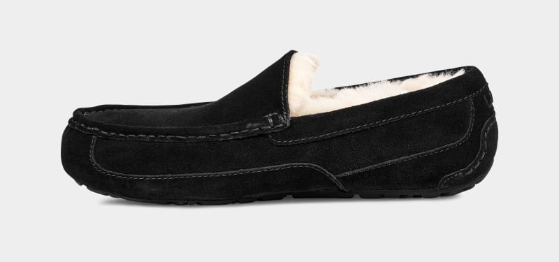 Black Ugg Ascot Men's Slippers | South Africa-0673495