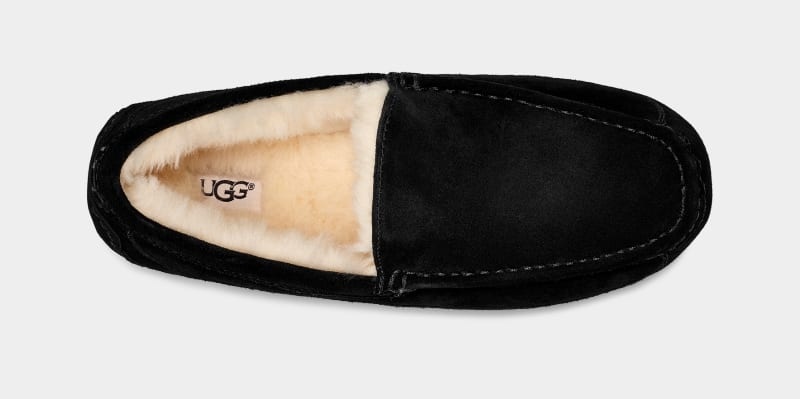 Black Ugg Ascot Men's Slippers | South Africa-0673495