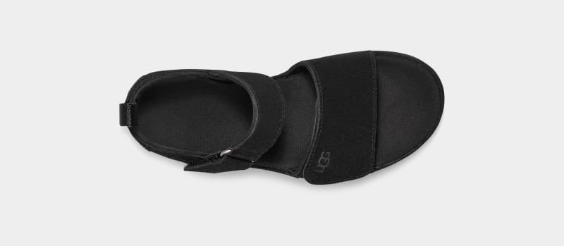 Black Ugg Goldenstar Kids' Slippers | South Africa-2714960