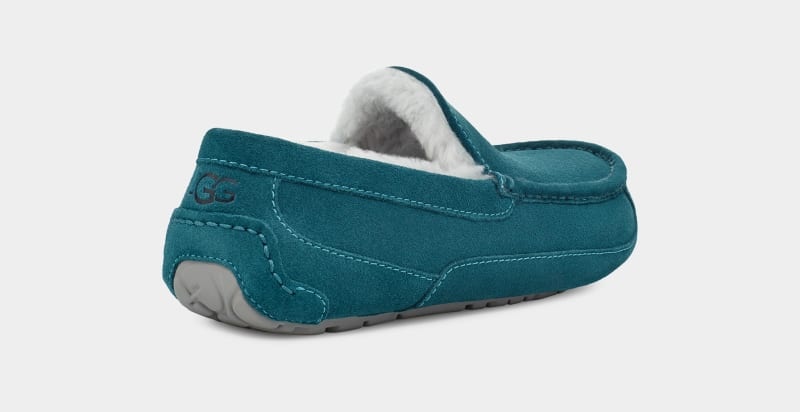 Blue Ugg Ascot Men's Slippers | South Africa-3872045