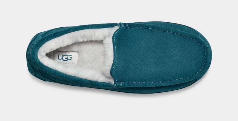 Blue Ugg Ascot Men's Slippers | South Africa-3872045