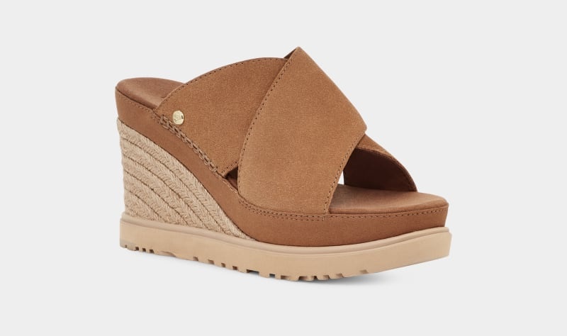 Brown Ugg Abbot Women's Slides | South Africa-2149536