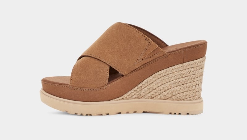 Brown Ugg Abbot Women's Slides | South Africa-2149536