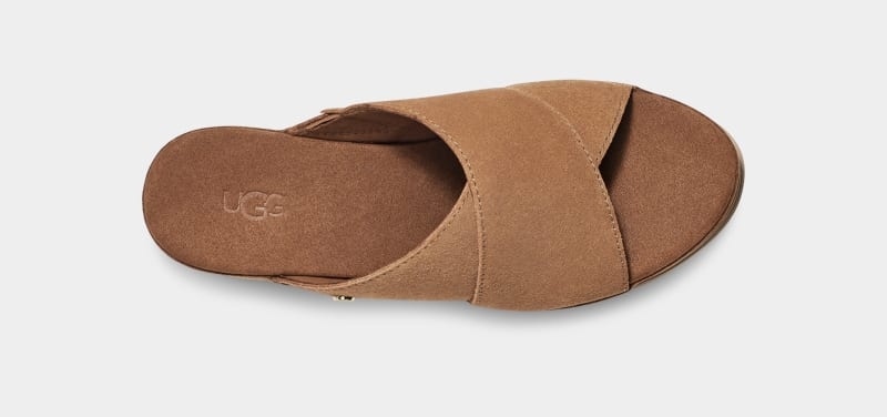 Brown Ugg Abbot Women's Slides | South Africa-2149536