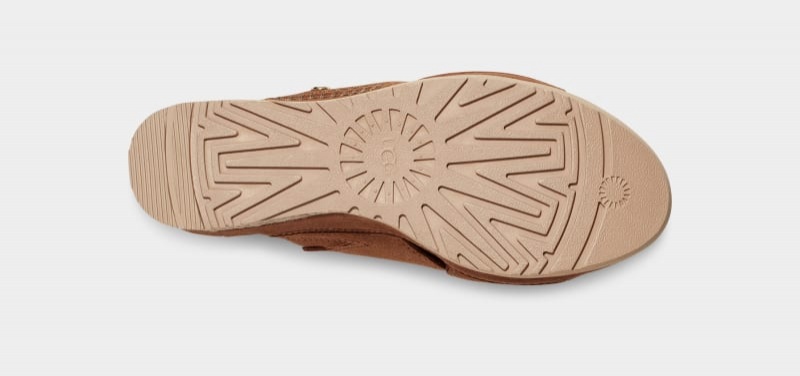 Brown Ugg Abbot Women's Slides | South Africa-2149536