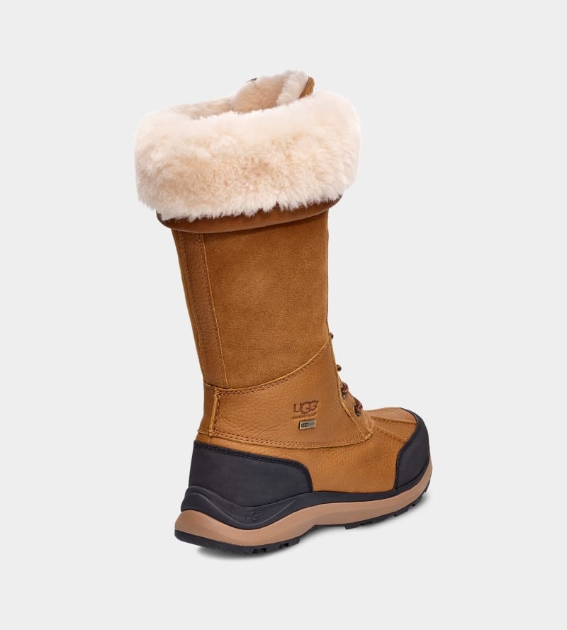 Brown Ugg Adirondack Iii Tall Women's Boots | South Africa-4832675