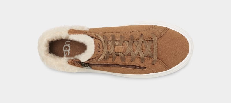 Brown Ugg Alameda Mid Zip Women's Sneakers | South Africa-5093218