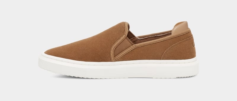 Brown Ugg Alameda Slip On Suede Women's Sneakers | South Africa-6742981