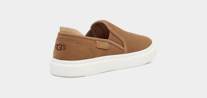 Brown Ugg Alameda Slip On Suede Women's Sneakers | South Africa-6742981