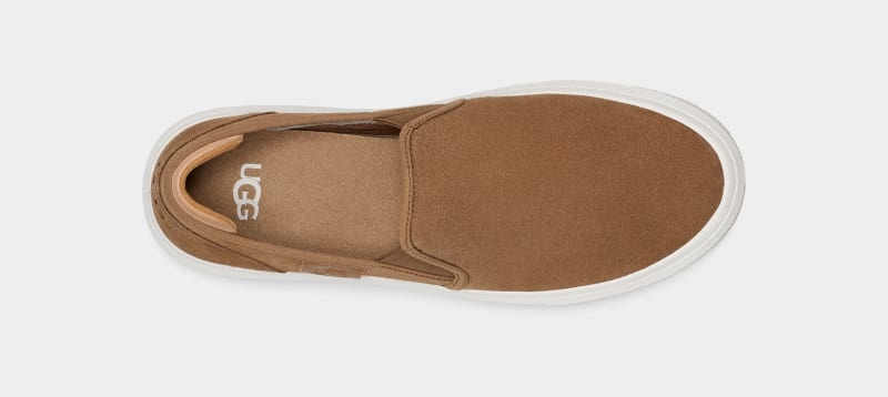 Brown Ugg Alameda Slip On Suede Women's Sneakers | South Africa-6742981