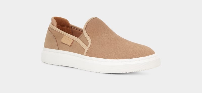 Brown Ugg Alameda Slip On Suede Women's Sneakers | South Africa-6405937