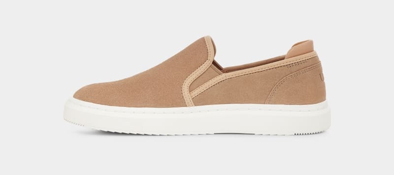 Brown Ugg Alameda Slip On Suede Women's Sneakers | South Africa-6405937