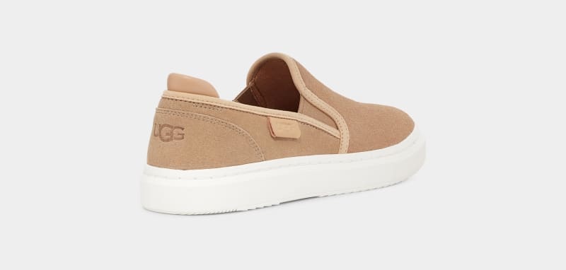 Brown Ugg Alameda Slip On Suede Women's Sneakers | South Africa-6405937