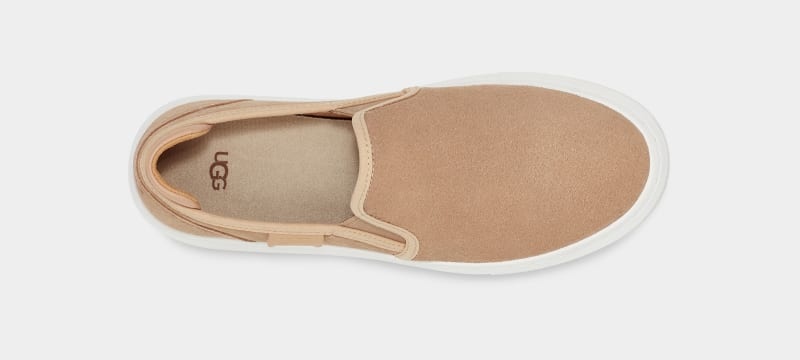 Brown Ugg Alameda Slip On Suede Women's Sneakers | South Africa-6405937