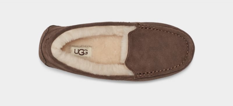 Brown Ugg Ansley Women's Moccasins | South Africa-0489753