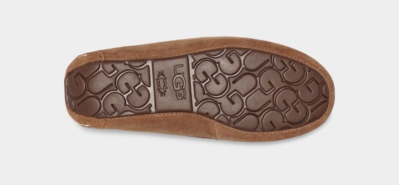 Brown Ugg Ansley Women's Moccasins | South Africa-7348901