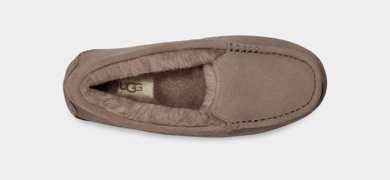 Brown Ugg Ansley Women's Moccasins | South Africa-4218067