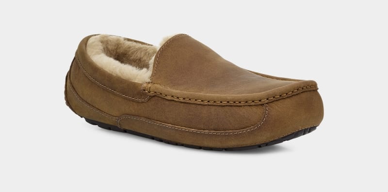 Brown Ugg Ascot Matte Leather Men's Moccasins | South Africa-9208761