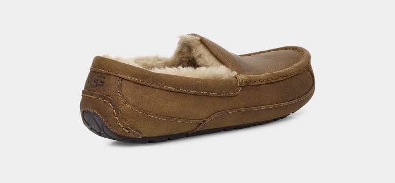 Brown Ugg Ascot Matte Leather Men's Moccasins | South Africa-9208761