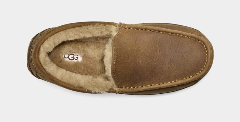 Brown Ugg Ascot Matte Leather Men's Moccasins | South Africa-9208761