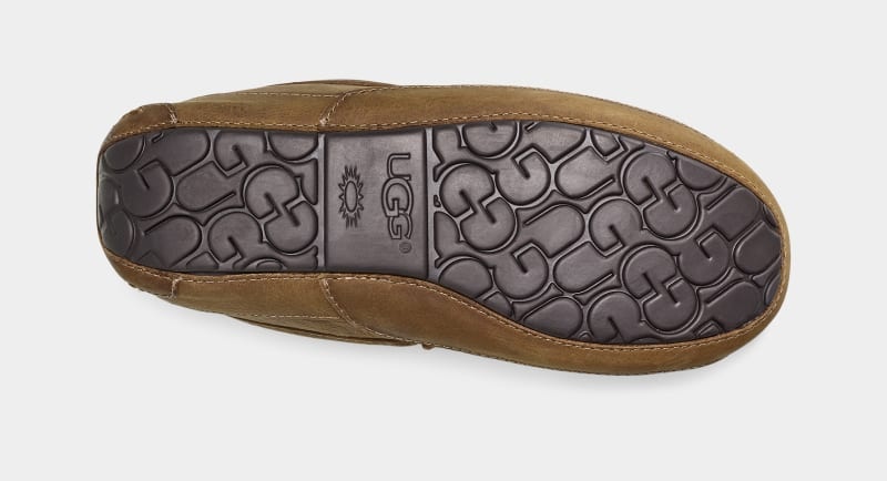 Brown Ugg Ascot Matte Leather Men's Moccasins | South Africa-9208761