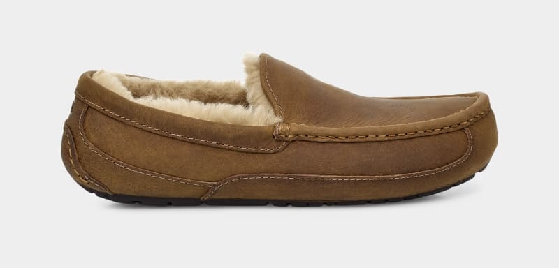 Brown Ugg Ascot Matte Leather Men\'s Moccasins | South Africa-9208761