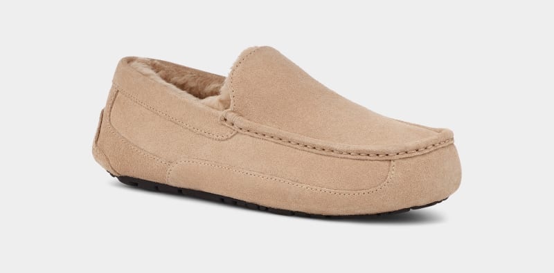 Brown Ugg Ascot Men's Slippers | South Africa-2970418