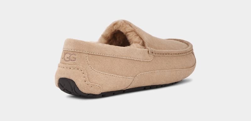 Brown Ugg Ascot Men's Slippers | South Africa-2970418