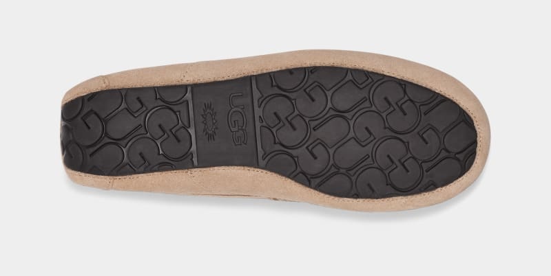 Brown Ugg Ascot Men's Slippers | South Africa-2970418