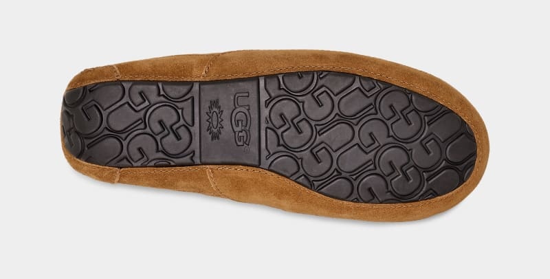 Brown Ugg Ascot Men's Slippers | South Africa-4695803