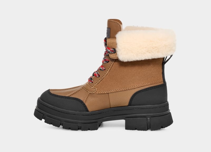 Brown Ugg Ashton Addie Women's Winter Boots | South Africa-8256410