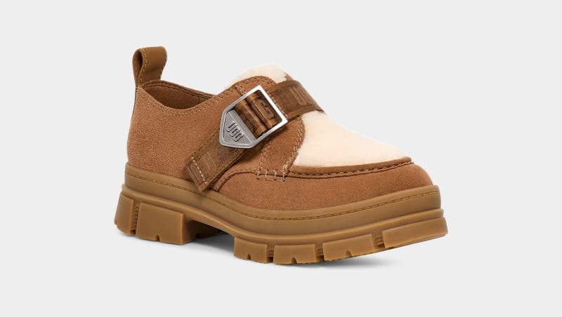 Brown Ugg Ashton Suede Women's Sneakers | South Africa-7835901