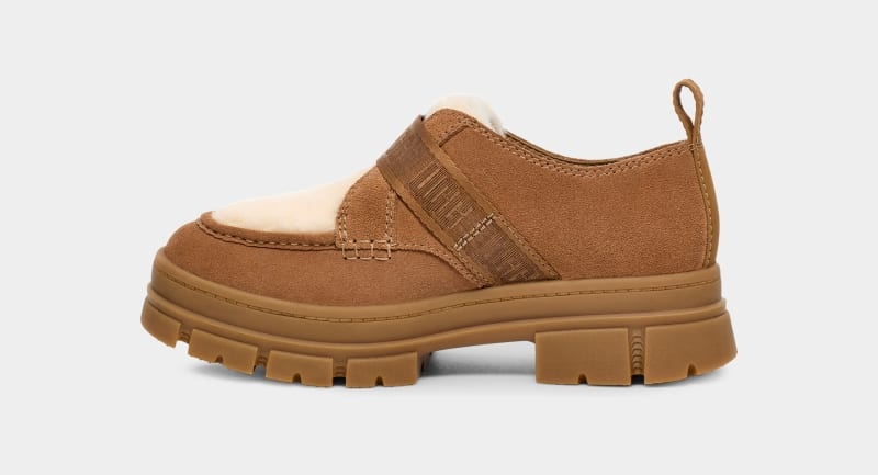 Brown Ugg Ashton Suede Women's Sneakers | South Africa-7835901