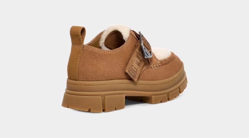 Brown Ugg Ashton Suede Women's Sneakers | South Africa-7835901