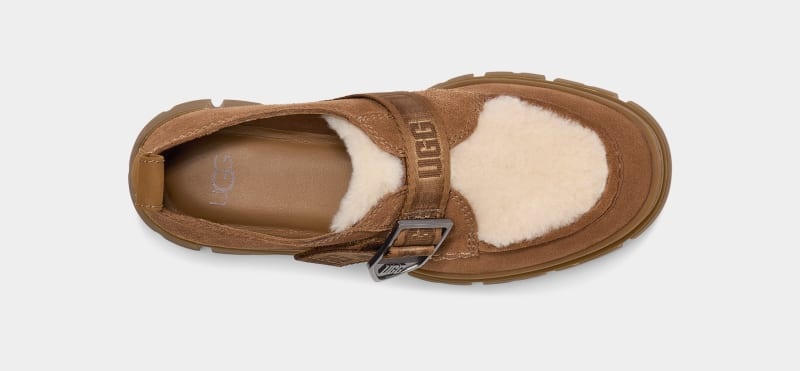 Brown Ugg Ashton Suede Women's Sneakers | South Africa-7835901