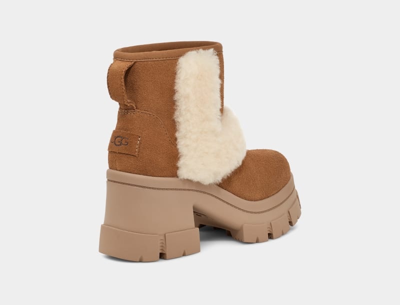 Brown Ugg Brooklyn Sunburst Women's Winter Boots | South Africa-6071832