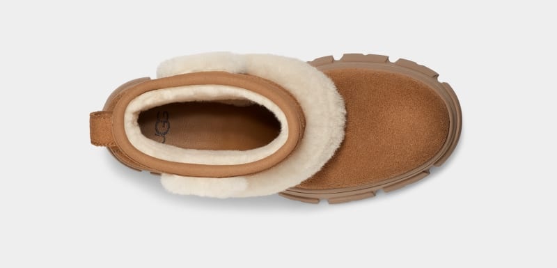 Brown Ugg Brooklyn Sunburst Women's Winter Boots | South Africa-6071832