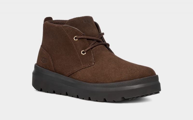 Brown Ugg Burleigh Chukka Men's Sneakers | South Africa-5619407