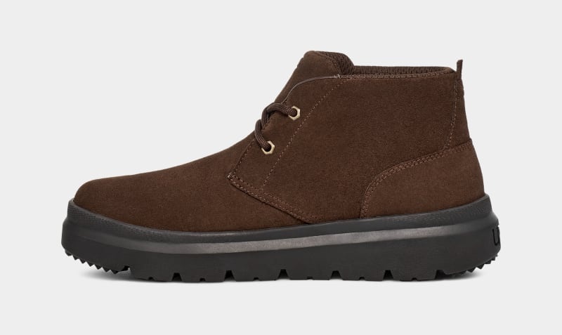 Brown Ugg Burleigh Chukka Men's Sneakers | South Africa-5619407