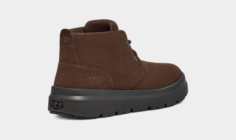 Brown Ugg Burleigh Chukka Men's Sneakers | South Africa-5619407