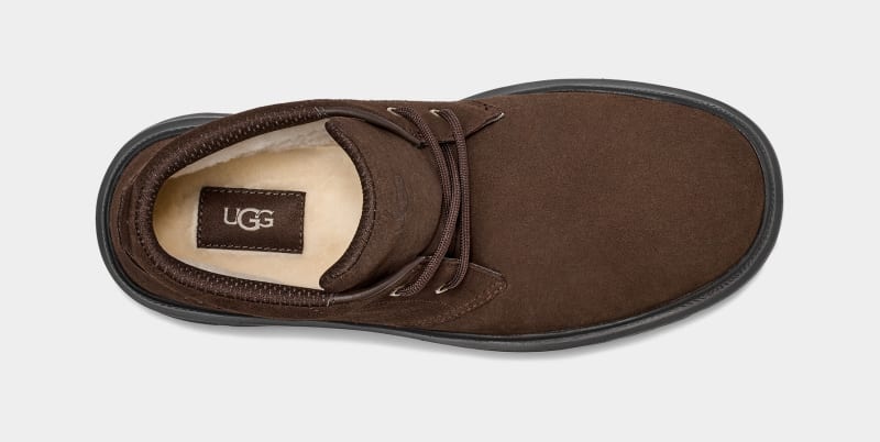 Brown Ugg Burleigh Chukka Men's Sneakers | South Africa-5619407