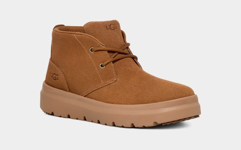 Brown Ugg Burleigh Chukka Men's Sneakers | South Africa-3751046