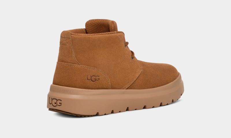 Brown Ugg Burleigh Chukka Men's Sneakers | South Africa-3751046