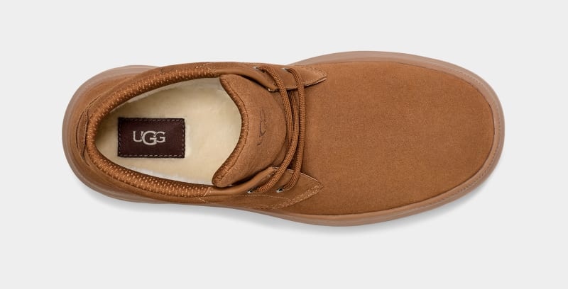 Brown Ugg Burleigh Chukka Men's Sneakers | South Africa-3751046