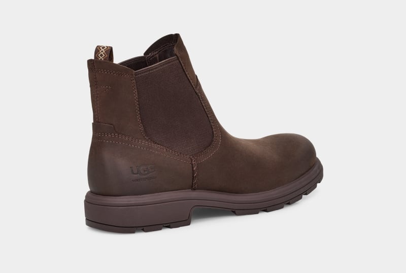 Brown Ugg Burleigh Men's Chelsea Boots | South Africa-5308694