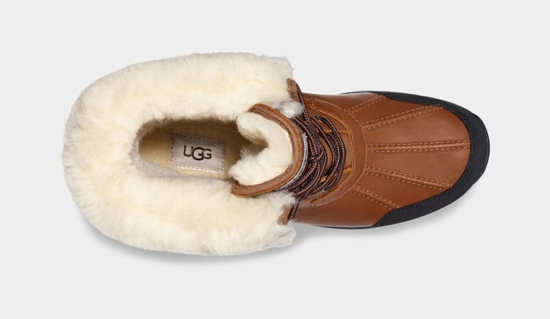 Brown Ugg Butte Men's Winter Boots | South Africa-1654078